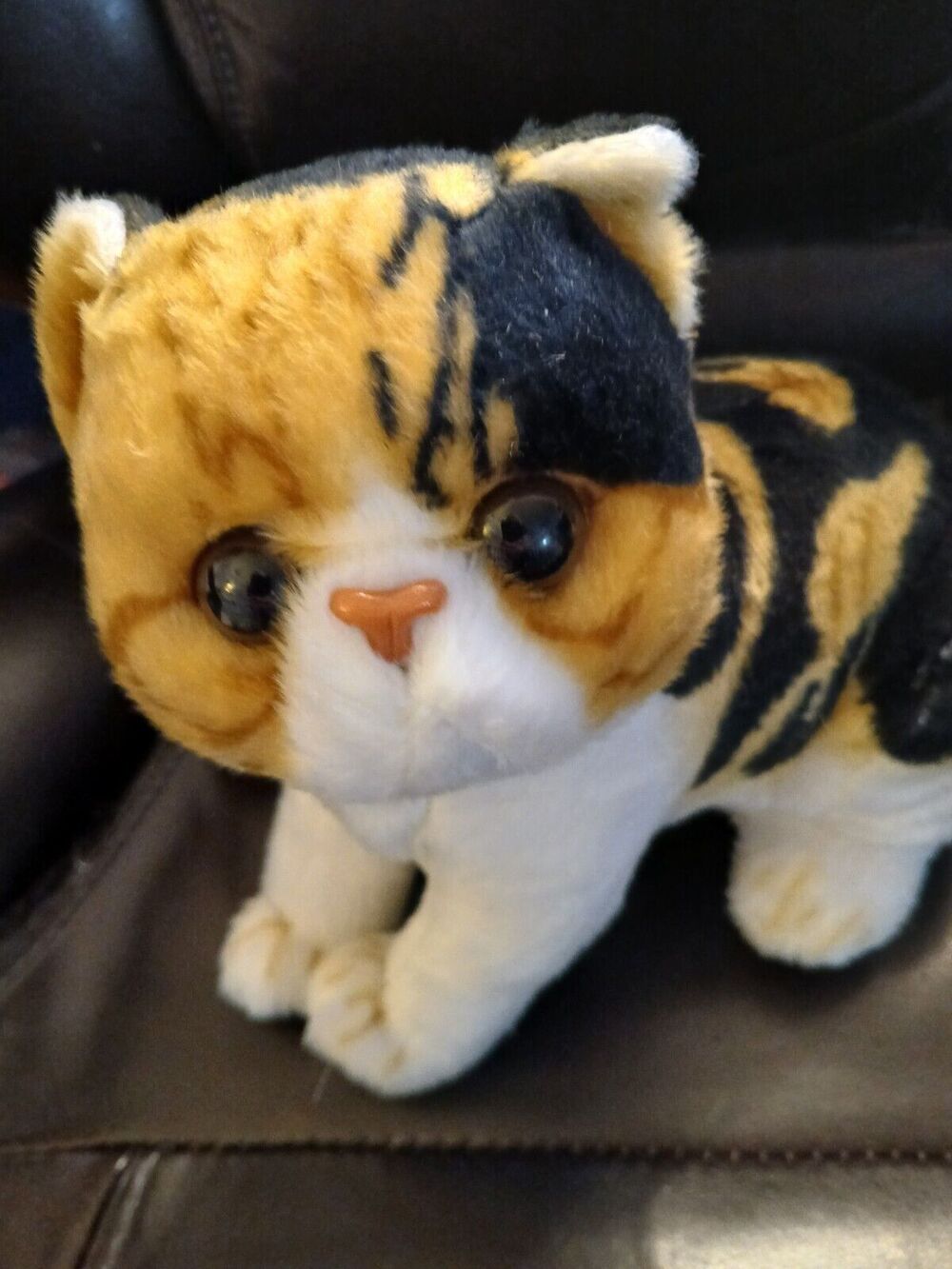 UP FOR ADOPTION Orange Black White Cat Kitty Plush Realistic Life-Like Stuffed
